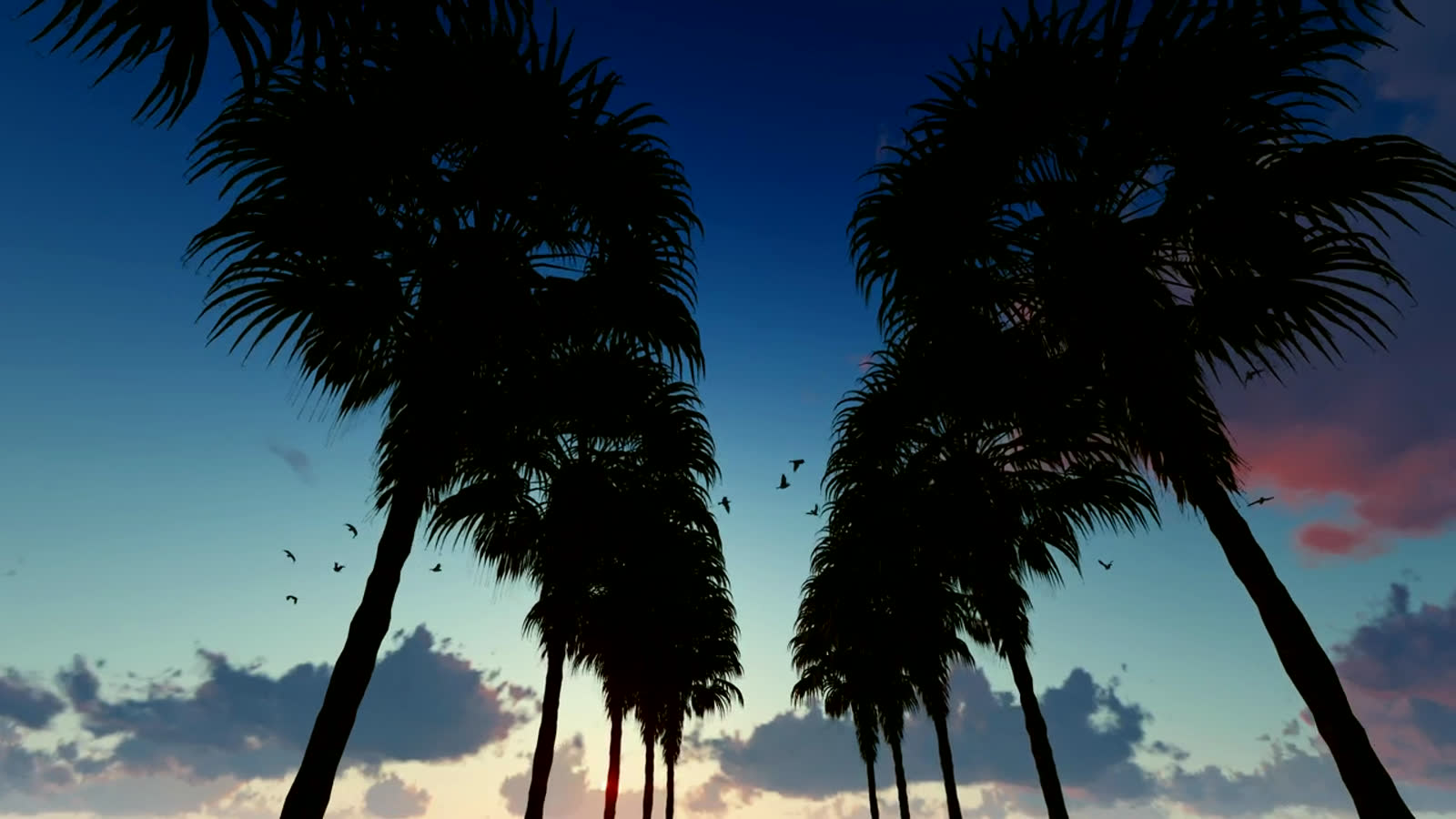 The palm corridor at dusk