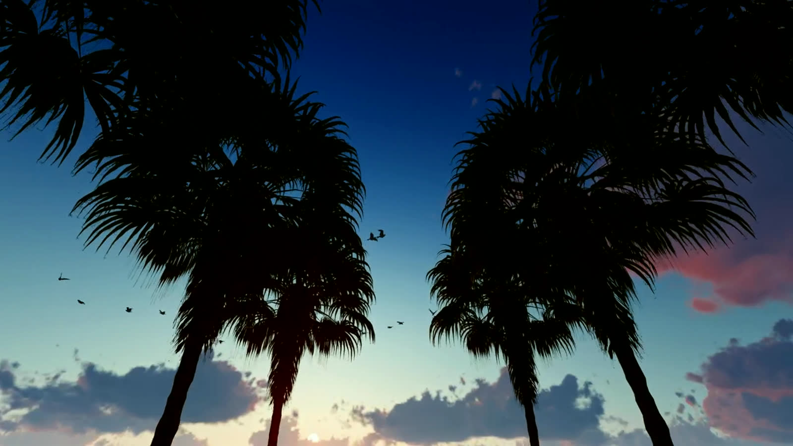 Palm silhouettes against the evening sky